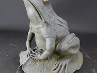 Grote ijzeren kikker - afbeelding 1 van  5