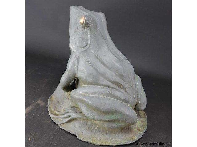 Grote ijzeren kikker - afbeelding 2 van  5