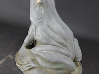 Grote ijzeren kikker - afbeelding 2 van  5