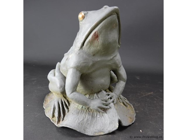 Grote ijzeren kikker - afbeelding 4 van  5