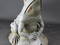 Grote ijzeren kikker - afbeelding 4 van  5