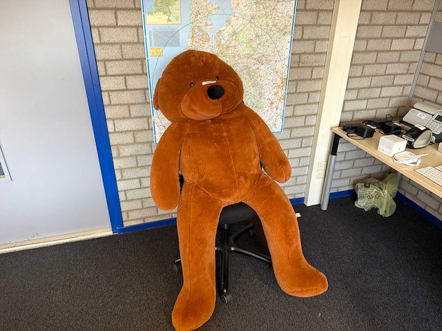 Grote knuffelbeer - afbeelding 1 van  3