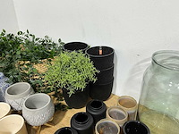 Grote partij divers decoratiemateriaal - afbeelding 5 van  8