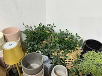 Grote partij divers decoratiemateriaal - afbeelding 6 van  8