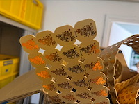 Grote partij festival munten en bandjes (bedrukt) - afbeelding 9 van  13