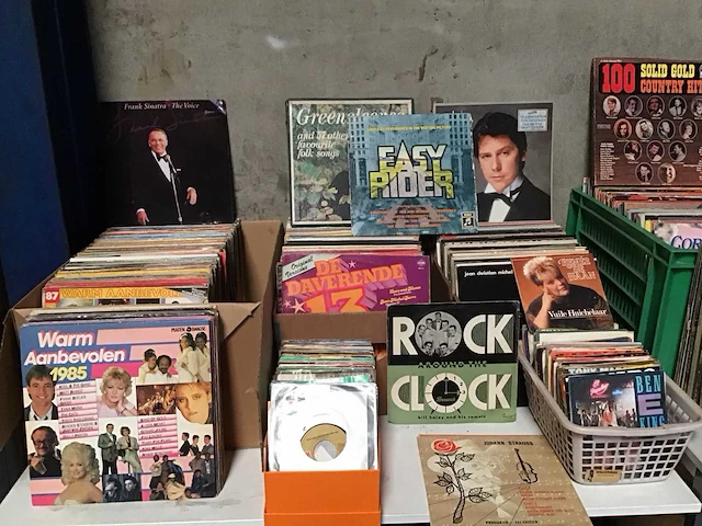 Grote partij lp’s en singles - afbeelding 2 van  9