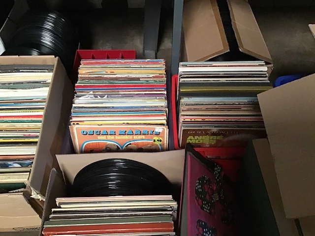 Grote partij lp’s en singles - afbeelding 4 van  9