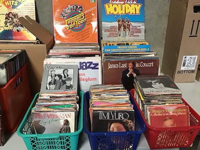Grote partij lp’s en singles - afbeelding 7 van  9