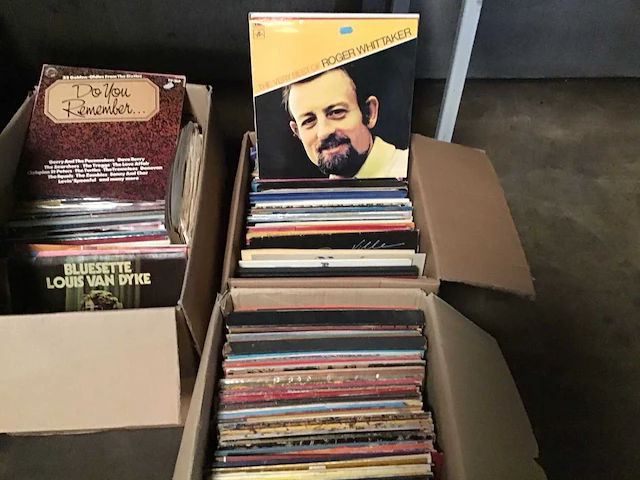 Grote partij lp’s en singles - afbeelding 8 van  9