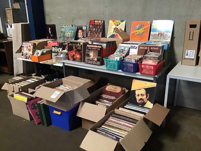 Grote partij lp’s en singles - afbeelding 9 van  9