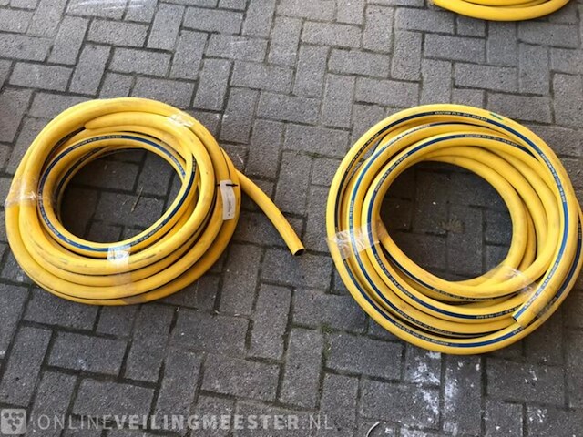 Grote partij slangen - afbeelding 3 van  9