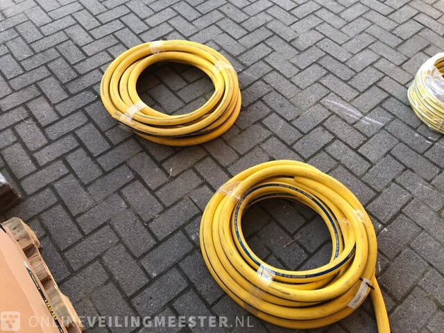 Grote partij slangen - afbeelding 4 van  9