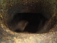 Grundfos - afbeelding 6 van  8