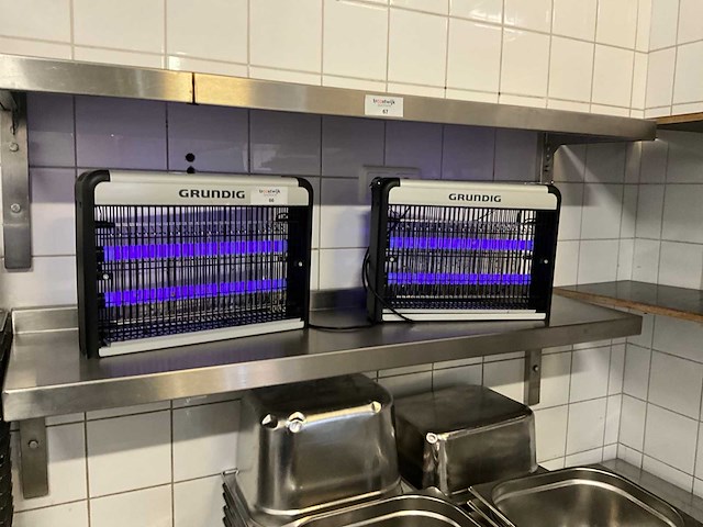 Grundig insectenvanger (2x) - afbeelding 1 van  3