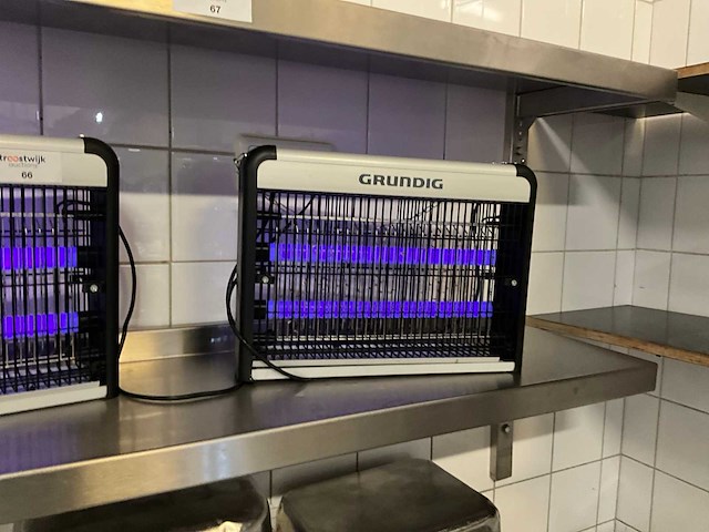 Grundig insectenvanger (2x) - afbeelding 3 van  3