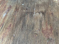 Gstu us 40”-zeecontainer - afbeelding 4 van  10