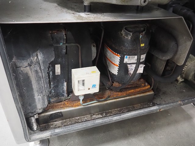 Günther - afbeelding 4 van  14