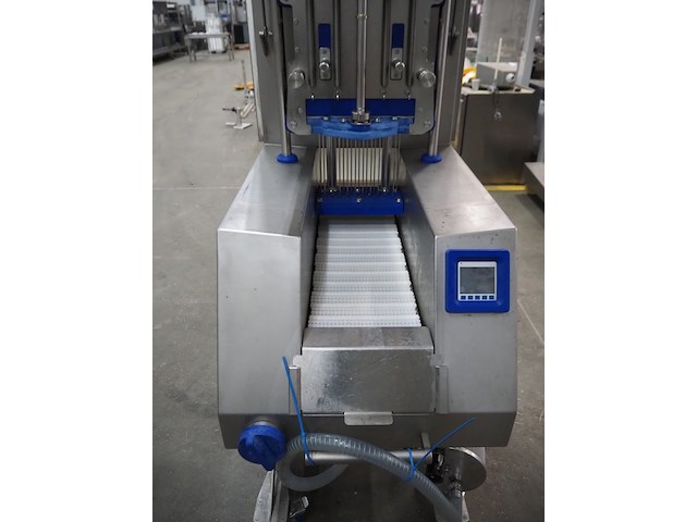 Günther - afbeelding 8 van  12