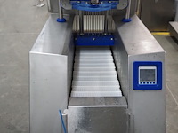 Günther - afbeelding 8 van  12