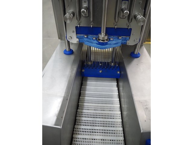 Günther - afbeelding 9 van  12