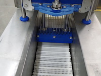 Günther - afbeelding 9 van  12