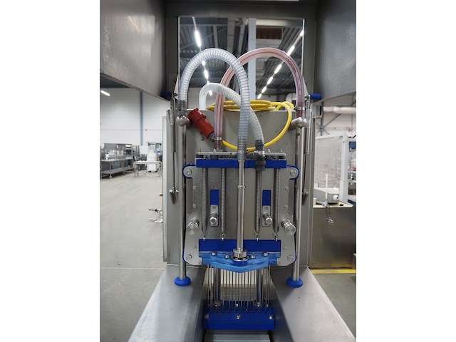 Günther - afbeelding 10 van  12