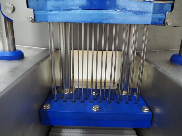 Günther - afbeelding 11 van  12