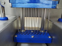 Günther - afbeelding 11 van  12