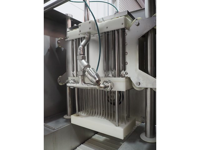 Günther - afbeelding 13 van  15