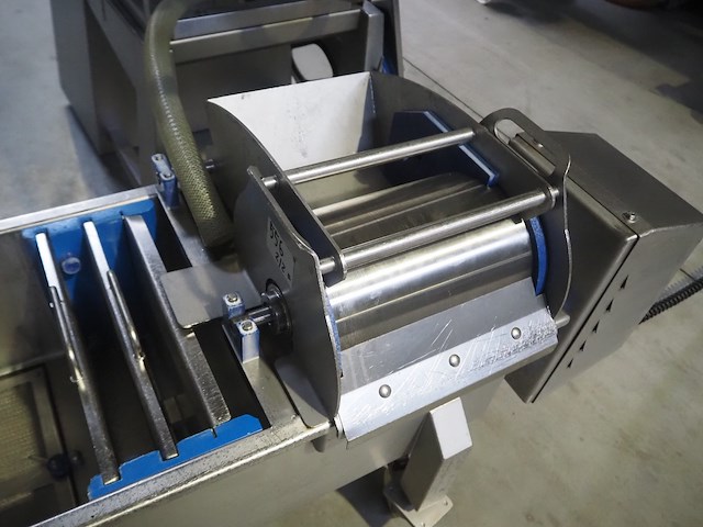 Günther - afbeelding 18 van  29