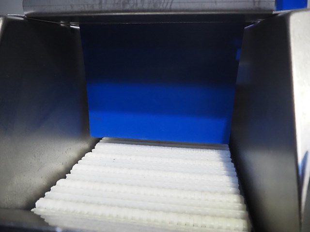 Günther - afbeelding 26 van  29