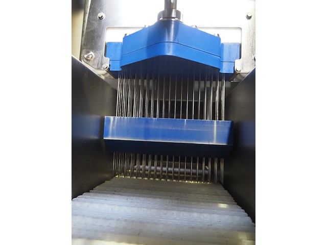 Günther - afbeelding 27 van  29