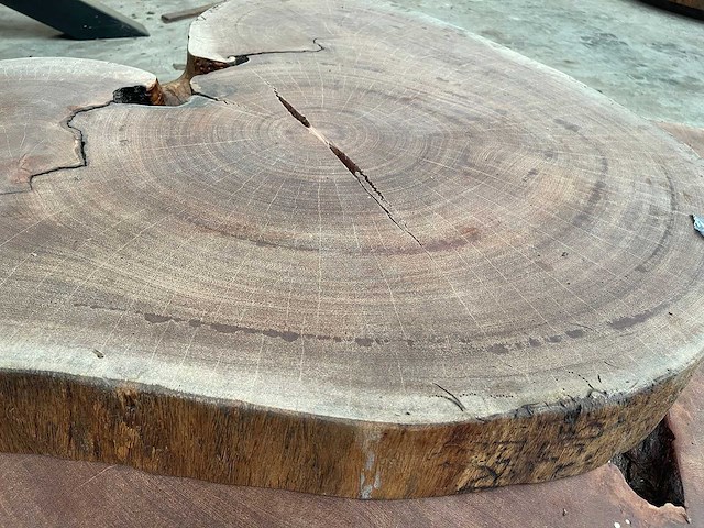 Guyana teak houten schijf 1000mm - afbeelding 1 van  3