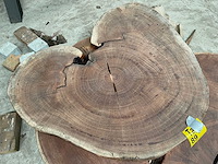 Guyana teak houten schijf 1000mm - afbeelding 2 van  3