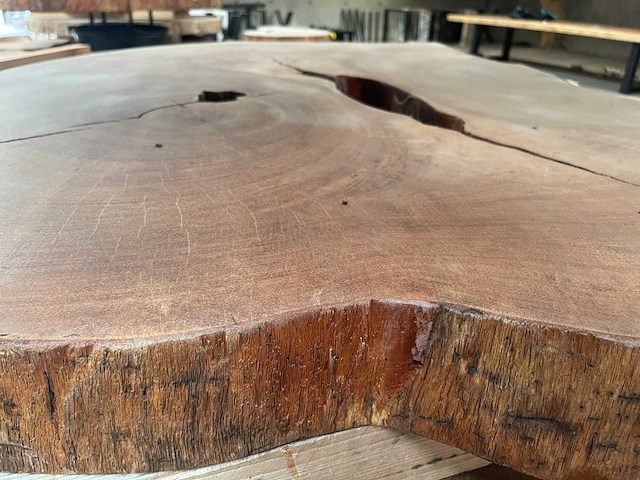 Guyana teak houten schijf 1000mm - afbeelding 3 van  3