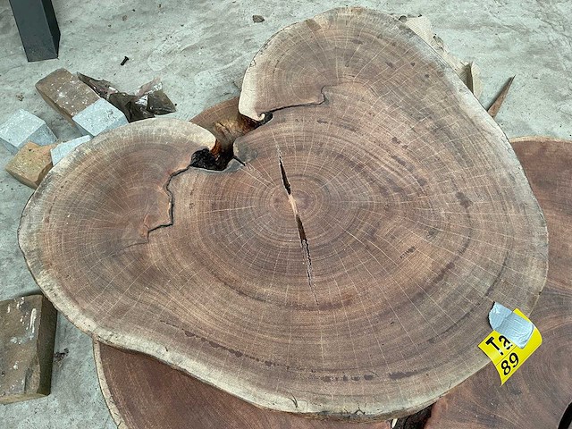 Guyana teak houten schijf 1000mm - afbeelding 2 van  3