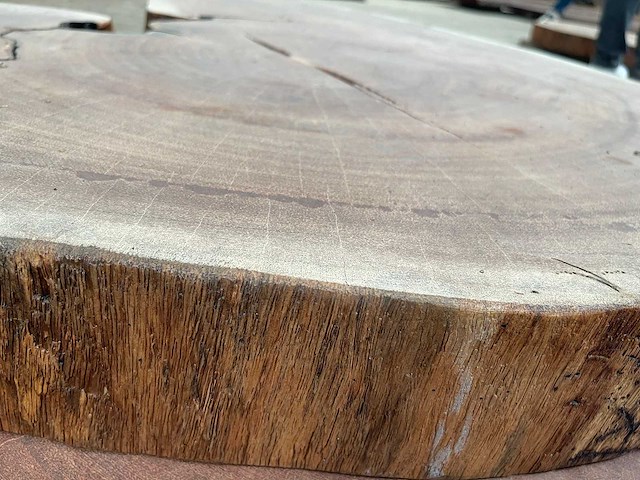 Guyana teak houten schijf 1000mm - afbeelding 3 van  3