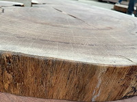 Guyana teak houten schijf 1000mm - afbeelding 3 van  3