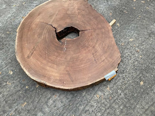 Guyana teak houten schijf 1000mm - afbeelding 2 van  2