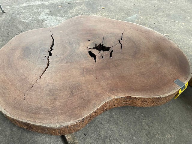 Guyana teak houten schijf 1100mm - afbeelding 2 van  3