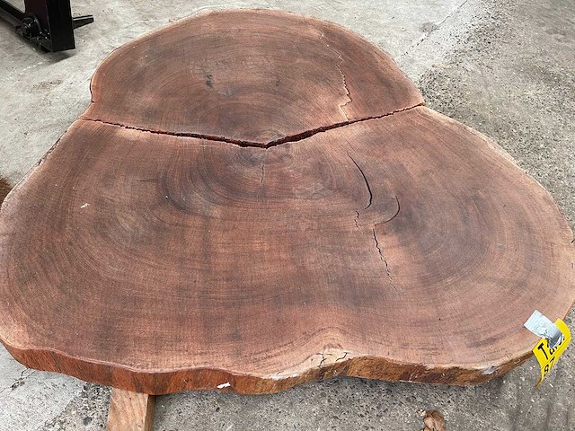 Guyana teak houten schijf 1200mm - afbeelding 2 van  3