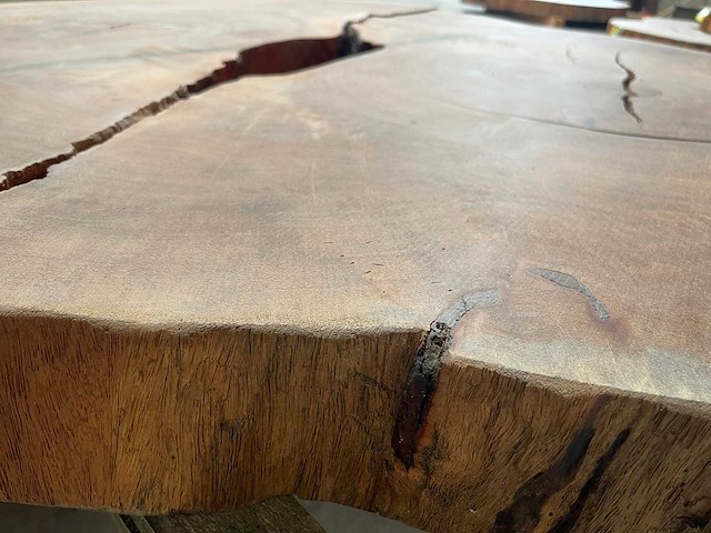 Guyana teak houten schijf 1200mm - afbeelding 3 van  3