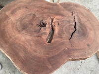 Guyana teak houten schijf 1300mm - afbeelding 2 van  3