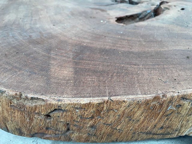 Guyana teak houten schijf 1300mm - afbeelding 3 van  3