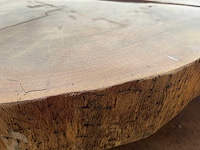 Guyana teak houten schijf 1400mm - afbeelding 3 van  3