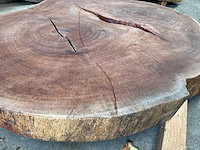 Guyana teak houten schijf 1400mm - afbeelding 1 van  3