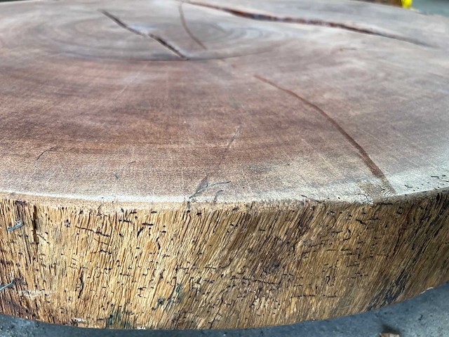 Guyana teak houten schijf 1400mm - afbeelding 3 van  3