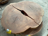 Guyana teak houten schijf 1400mm - afbeelding 2 van  3