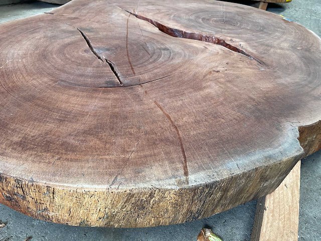 Guyana teak houten schijf 1400mm - afbeelding 1 van  3