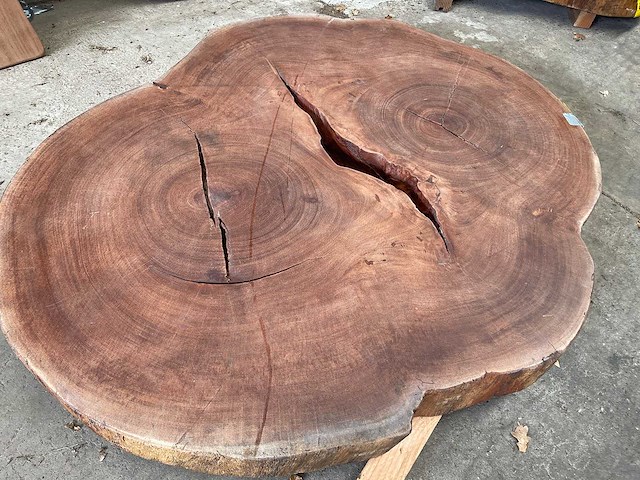 Guyana teak houten schijf 1400mm - afbeelding 2 van  3